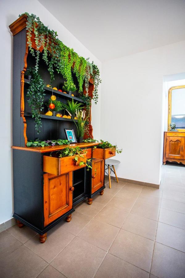 Villa Provence-Spa&Bbq Centre Au Calme- Jardin - Terrasses 拉瓦勒他·杜瓦尔 外观 照片